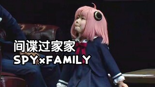 【自熟】努力面试的二号瓜神『SPYxFAMILY』音乐剧CUT｜井泽美遥版