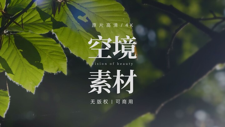 【无版权空镜】Feel the sunshine