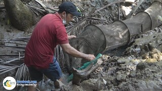 Chỉ Cần "DỞ MỘT LÚ" Có Gần 100 Con "TÉP BẠC ĐẤT" | Hội Ngộ Miền Tây - Tập 575