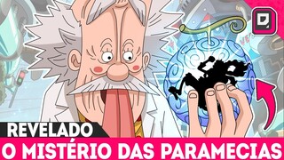 REVELADO O MISTÉRIO DAS PARAMECIAS REPLICADAS E O CUSTO DO USO DO GEAR 5 EM LUFFY  - ONE PIECE 1070