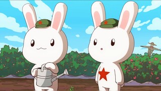 Why are diplomatic rabbits black? Because they are red and black, and the darker they are, the brigh