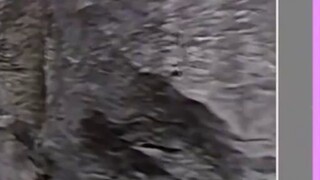 Li An và Youyi Muqi sống cùng nhau? Thiên Dou sống ở đâu? [Kino]