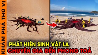 🔥 CAMERA VÔ TÌNH QUAY LẠI 15 SINH VẬT BÍ ẨN VÀ KỲ LẠ XUẤT HIỆN TRÊN BIỂN | KPTV