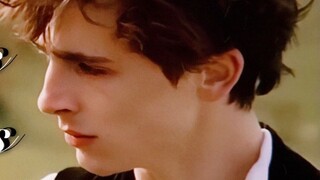 [Harry Potter/The Black Brothers] Regulus: Sang Singa yang Jatuh ke Dalam Laut Dalam