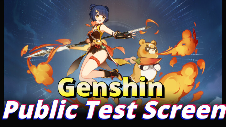 Public Test Screen