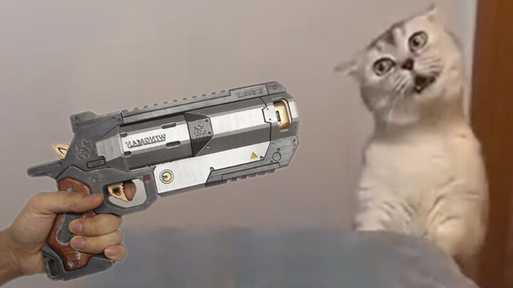 เมื่อสาวๆ เล่น Apex เป็นครั้งแรก