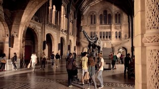 Natural History Museum Alive with David Attenborough. Official trailer