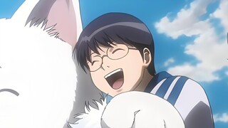 Japanese comics Gintama full collection network disk resources theater version + TV version + live-a