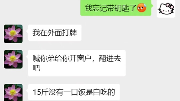 No meal comes for free #Hakimi #CatLife #ChubbyCat