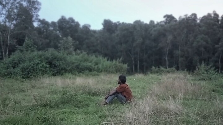 I'm not a lonely boy