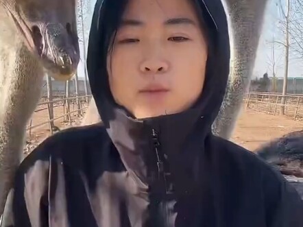 لماذا ترتدي ملابس ذات أزرار في الخلف؟ يا حبيبي! قبعات السترات الواقية من الطقس تحتوي جميعها على أزرا