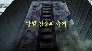 Shinbi's House_S01E15_ep15