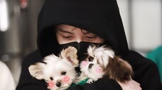 【Tan Kenji】Kucing sangat menyayangi anjing hingga hatiku meleleh