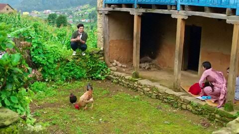 Nepali song (2026)