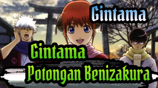 [Gintama] Gintama_Potongan Benizakura_B