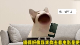 Sự khác biệt giữa trò chuyện cheem không có biểu tượng cảm xúc