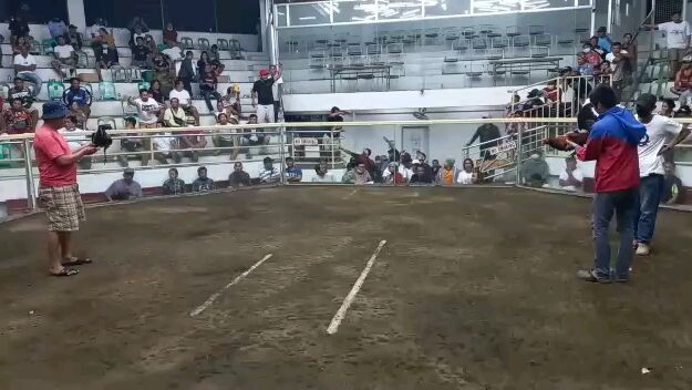 3cock derby 2ndfyt win