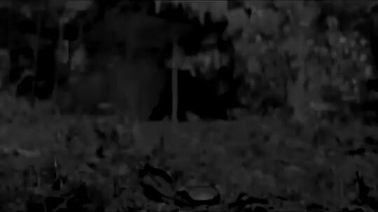 PENCARIAN TERAKHIR 2008