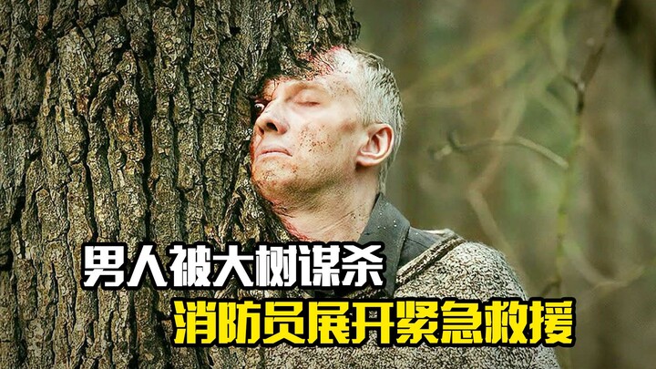 Người đàn ông bị cây cổ thụ “ám sát”, lực lượng cứu hỏa triển khai cuộc giải cứu khẩn cấp, phim giật
