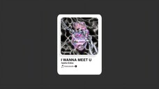 I WANNA MEET YOU