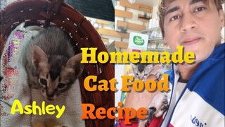 Homemade Cat Food / Jake Vlog