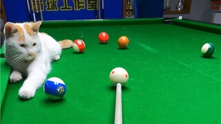 A new referee?
