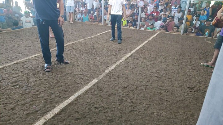 win 1st fight