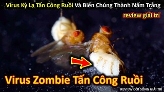 Ruồi Bị Virus Zombie Tấn Công Hóa Thân Hình Đầy Nấm Trắng Kinh Dị || Review Giải Trí Đời Sống