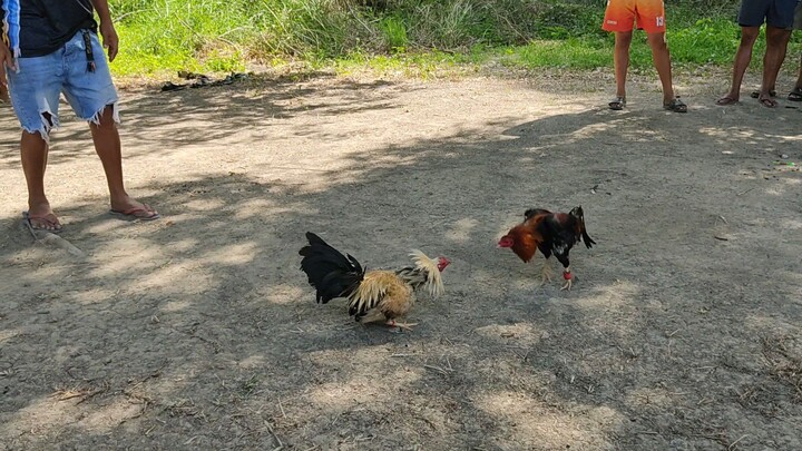 STREET FIGHT SERYE BANTEX 2TIMES WINNER IN  1 DAY 1ST FIGHT WIN DEC. 31, 2025!!!