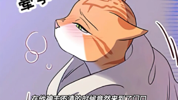 这个叫春的猫咪被另一只猫给满足了