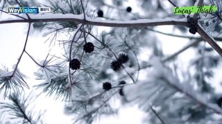 WayVision Season2 Ep12(Engsub)