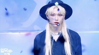 Aku masih tidak bisa menahan diri untuk mengklik bidikan lurus untuk melihat Felix berekor ganda