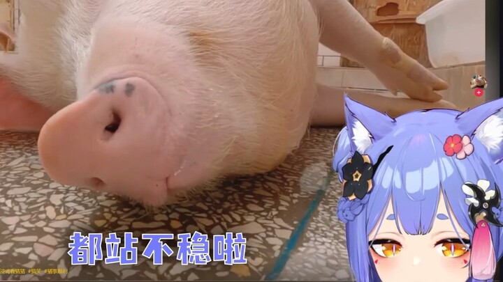 【阿梓】我是大舌头怪兽！小可站起来！