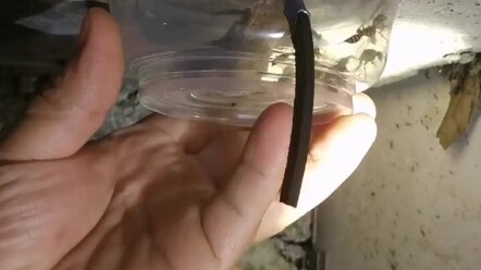 انتهى الأمر تمامًا!