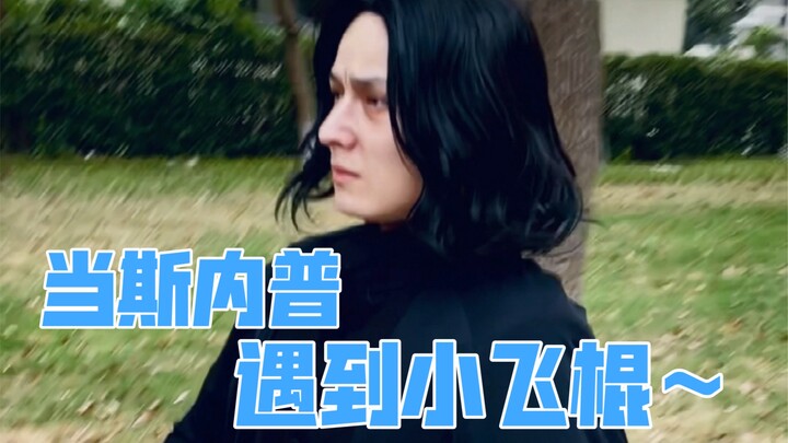 When Snape Meets the Little Flying Stick