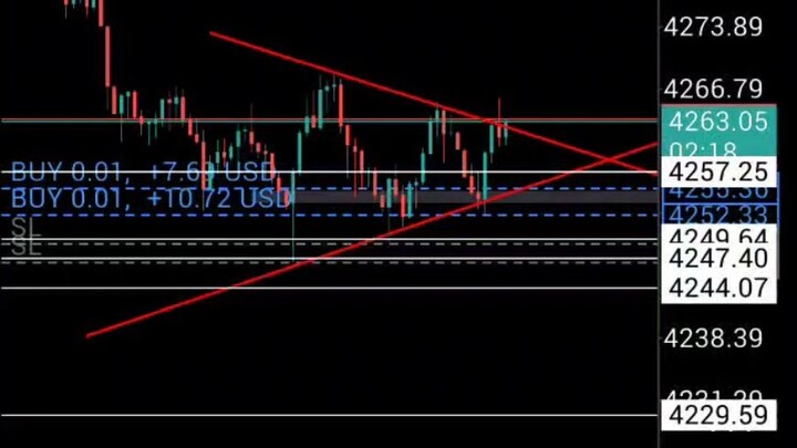 Forex XD