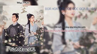 Nhạc Phim Tích Hoa Chỉ| Đoá hoa cô độc mọc giữa bụi gai| 荆棘中孤生的花 - Hy Lâm Na Y Cao