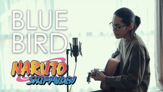 【NARUTO】Blue Bird - Ikimonogakari | ブルーバード / いきものがかり(Acoustic Cover by Tereza)