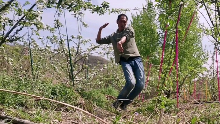Tired of working in the orchard, I quit and decided to do some break dancing to cheer myself up.