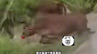 老牛直接漂移压弯