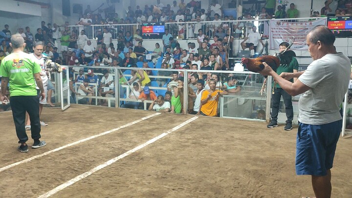 cutting ability one hit delete new elorde cockpit #sabongpinas