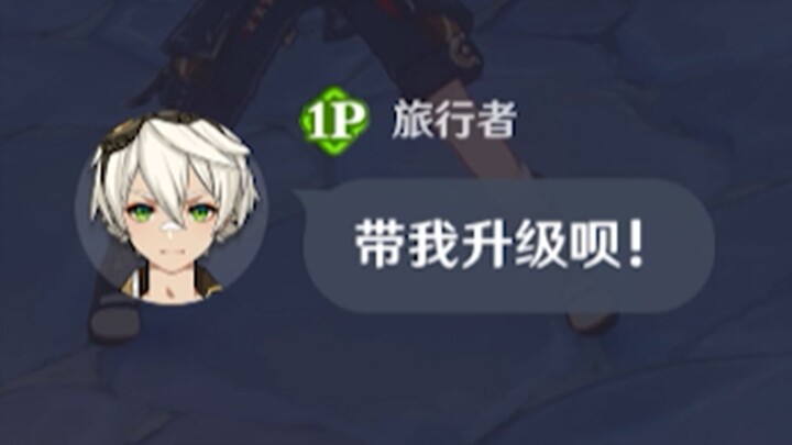 萌新：带我升级呗！