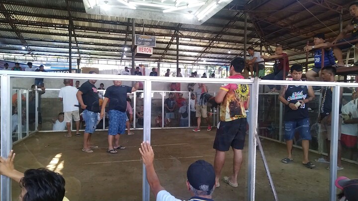 2nd fight TAPARAY ( 3 wins champion) 12-30-2024