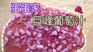 【蛋蛋家试玩】慢回弹 混 巨峰葡萄汁 up主混到手皱 终于成功了