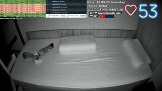 Sleep Stream 10.05.2025