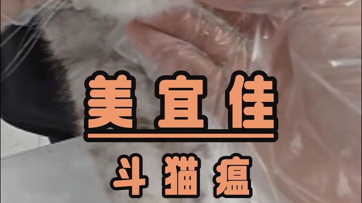 เม่ยอี้เจีย ต่อสู้กับโรคไข้หัดแมว
