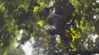 memories(classmate's)