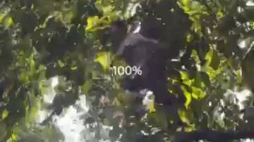 memories(classmate's)