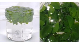 Bộ sưu tập slime chất lượng cao - Lá rơi khỏi nước