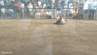 nov16 hackfight limay mega cockpit. win bataan